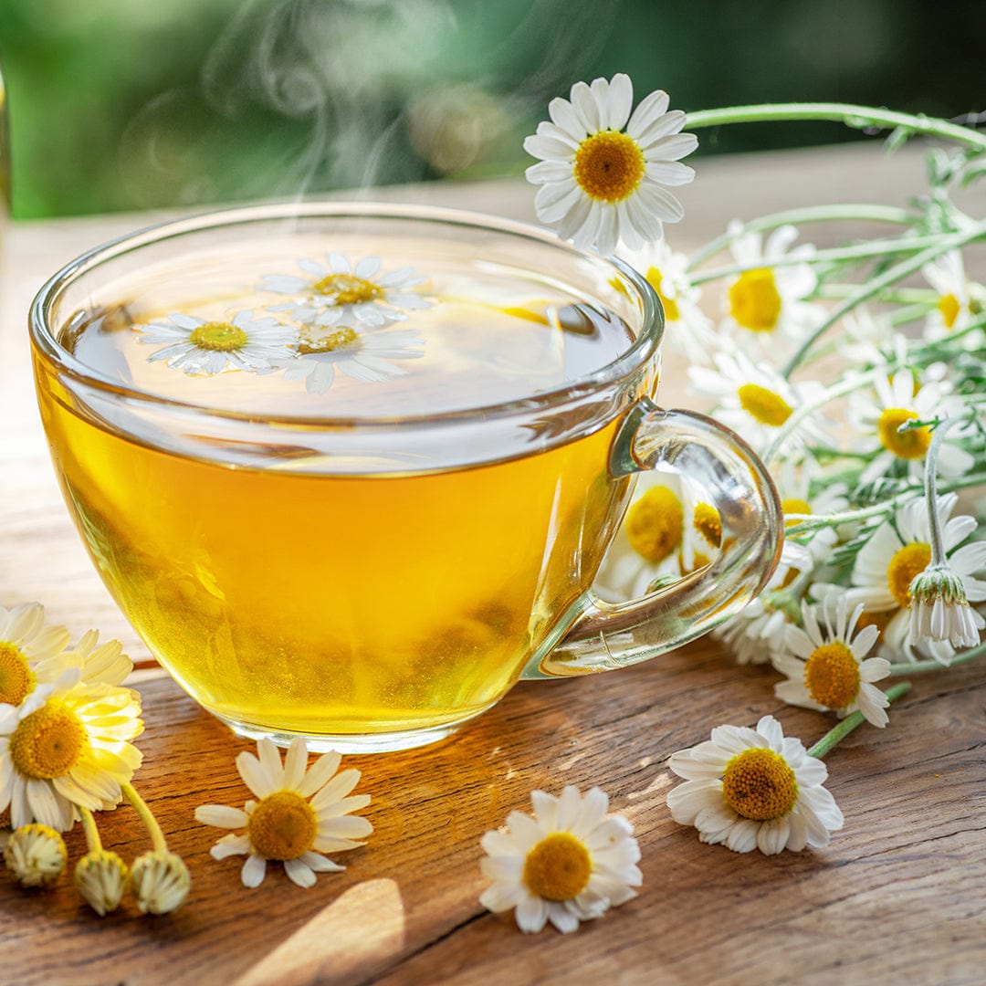 A clear glass cup of herbal tea sits on a wooden surface, chamomile flowers nearby and in the tea—perfect inspiration to grow your own with Back to the Roots Organic Chamomile Seeds ('German').