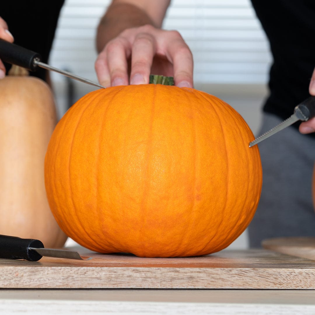 Bright orange round pumpkin with smooth skin sitting on a wooden cutting board with hands holding it on both sides. - Organic Pumpkin Seeds — 'Jack O' Lantern' - Default Title - Back to the Roots