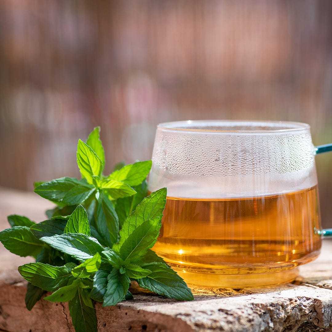 Fresh spearmint leaves beside a clear glass cup filled with amber-colored tea on a wooden surface. - Organic Mint Seeds — 'Spearmint' - Default Title - Back to the Roots