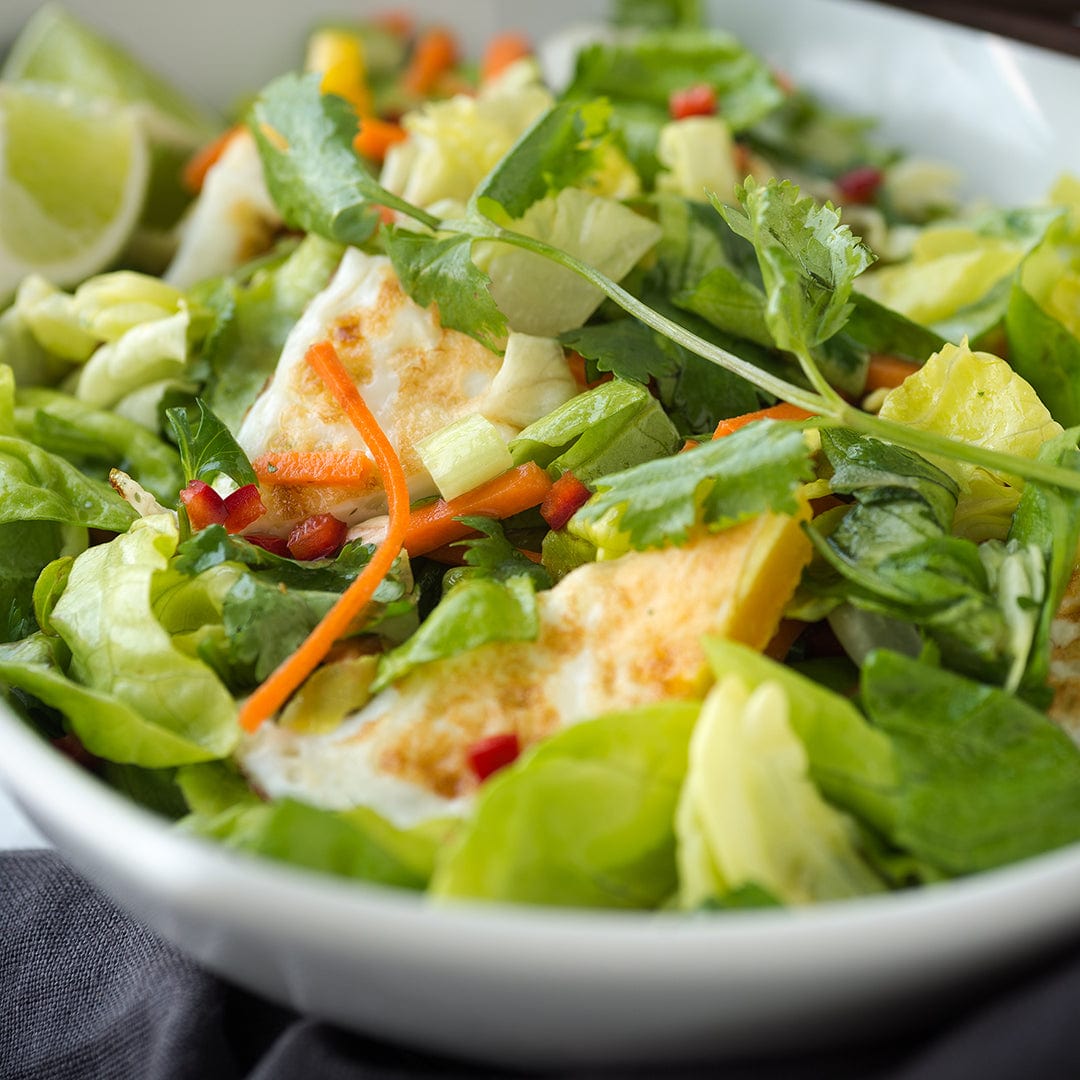 Fresh Bibb butterhead lettuce with mixed greens, carrot strips, and tofu cubes in a white bowl. - Organic Lettuce Seeds — 'Bibb Butterhead' - Default Title - Back to the Roots