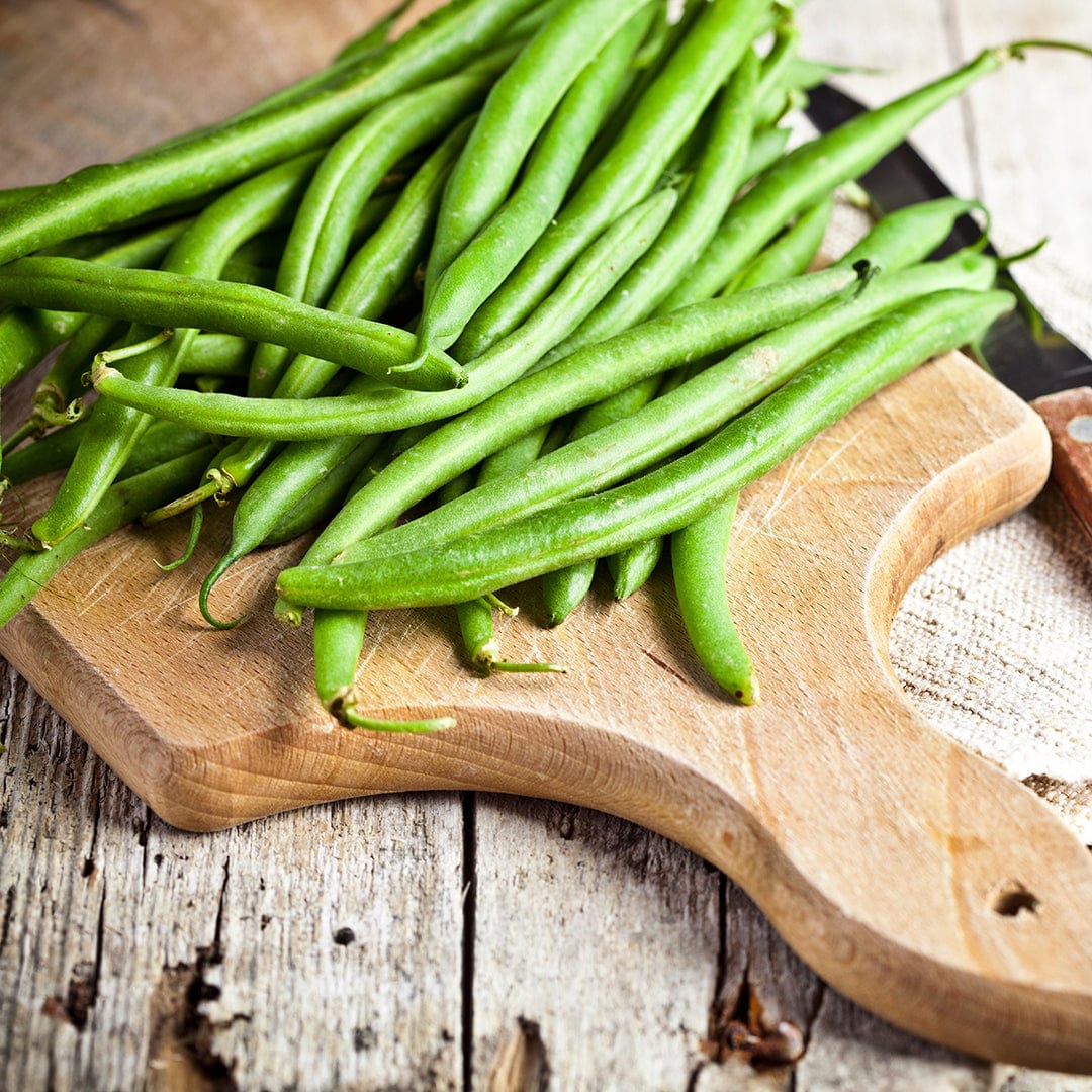 Organic Bean Seeds — 'Tendergreen Bush' by Back to the Roots are ideal for growing fresh, high-protein green beans at home. They're the perfect choice for adding delicious flavor and nutrition to your meals.