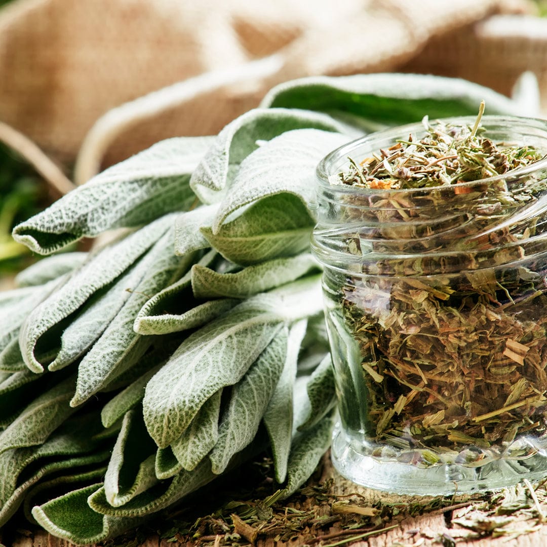 A packet of Back to the Roots Organic Sage Seeds — 'Broadleaf' sits beside a glass jar of dried sage on a rustic wooden table, ideal for culinary enthusiasts planning their herb garden with a grow calendar.