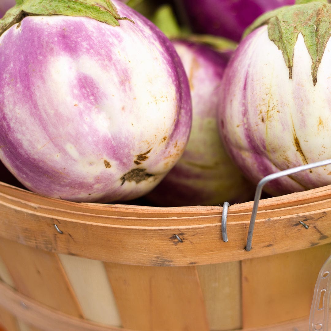 Close-up of oval Rosa Bianca eggplants with pale purple and white stripes in a wooden basket. - Organic Eggplant Seeds — 'Rosa Bianca' - Default Title - Back to the Roots
