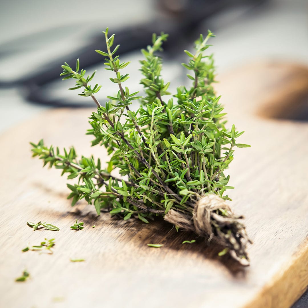 Bundle of fresh green English thyme tied with twine on a wooden surface. - Organic Thyme Seeds — 'English' - Default Title - Back to the Roots
