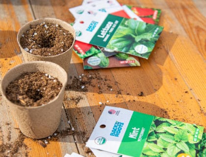 Gardening seeds