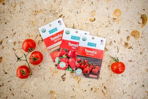 Tomato seeds