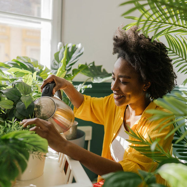 Organic Plant Food For Indoor Plants Best Outlet factoryeye