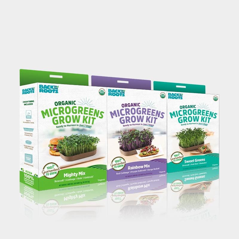 Three colorful boxes of organic microgreens grow kits labeled Mighty Mix, Rainbow Mix, and Sweet Green with images of. - Organic Microgreens Kit, Variety 3-Pack 🌱 - Default Title - Back to the Roots