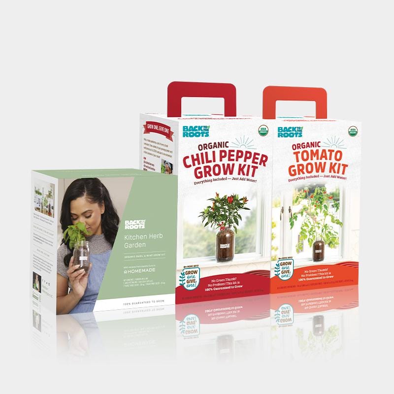 Back to the Roots Herb & Veggie 4-Pack (Mason Jar Set) features organic basil, mint, tomato, and pepper planters—each in its own packaging.