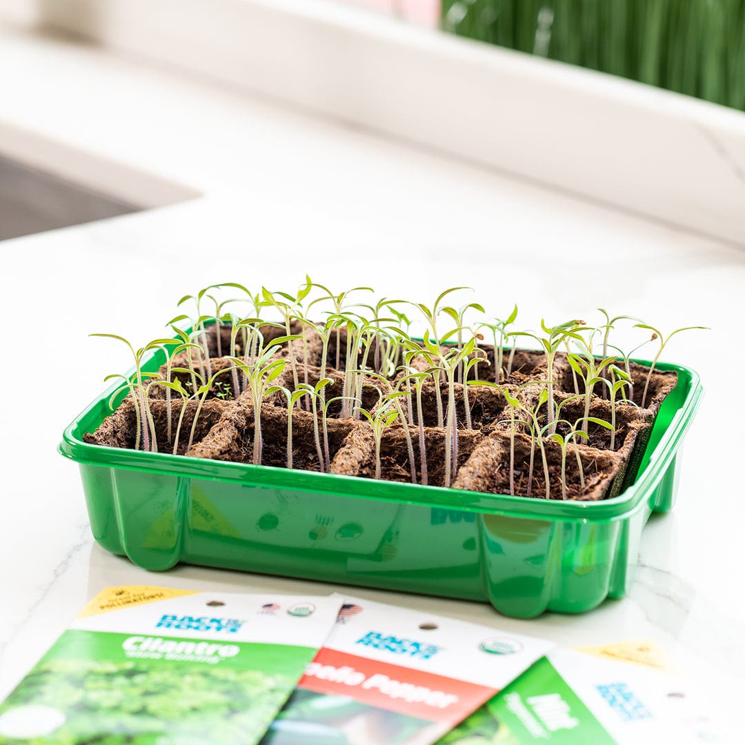 Green plastic 12-cell germination tray with organic seedlings sprouting in soil pellets on white surface. - Greenhouse Germination Kit (Organic & Plantable, 12-Cell Tray) - Default Title - Back to the Roots