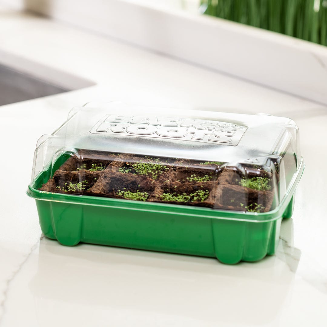 Green plastic 12-cell germination tray with clear plastic dome lid and soil-filled cells on a white surface. - Greenhouse Germination Kit (Organic & Plantable, 12-Cell Tray) - Default Title - Back to the Roots