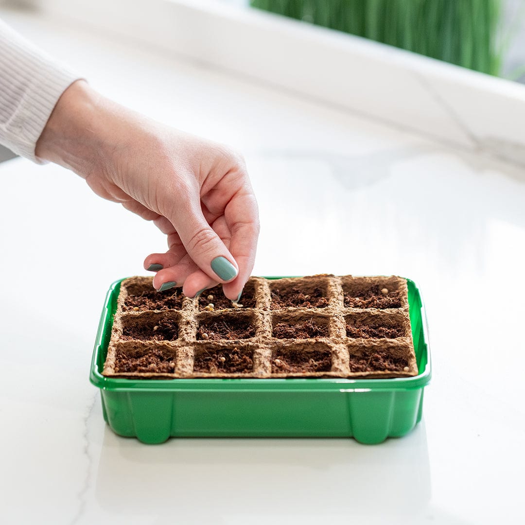 Green 12-cell germination tray with organic soil pods and hand planting seed on white surface. - Greenhouse Germination Kit (Organic & Plantable, 12-Cell Tray) - Default Title - Back to the Roots