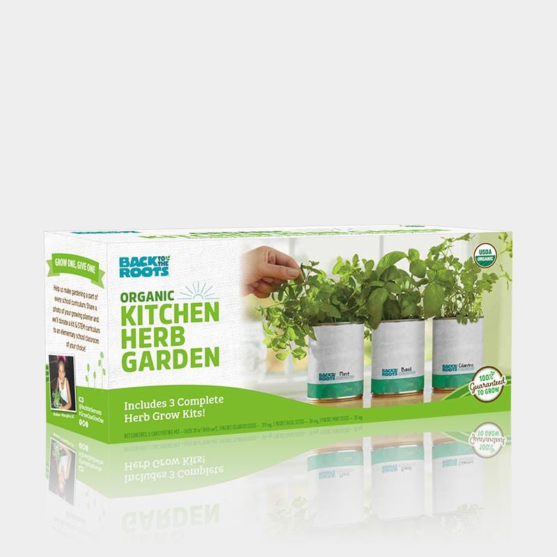 Kitchen Herb Garden - Basil, Mint, Cilantro 3-Pack 🌿 – Back to