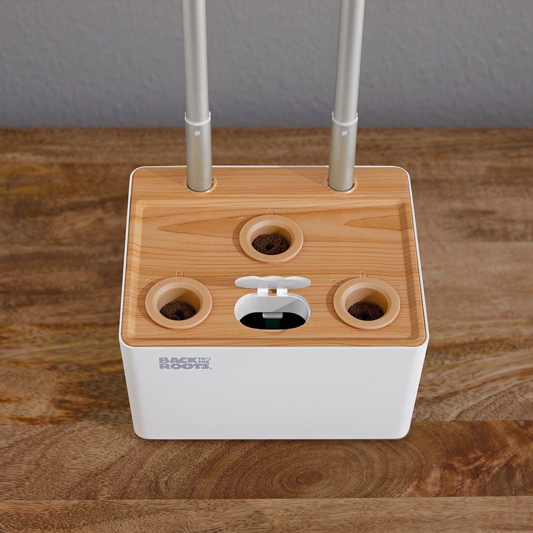 Compact white indoor garden with bamboo lid and four planting holes, two vertical LED grow lights attached. - Online Exclusive: Back to the Roots LED Indoor Garden - Default Title - Back to the Roots