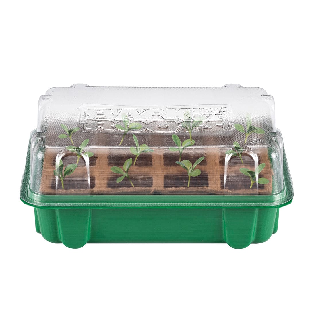 Green seedling tray with 12 cells and clear plastic dome lid for germination. - Greenhouse Germination Kit (Organic & Plantable, 12-Cell Tray) - Default Title - Back to the Roots