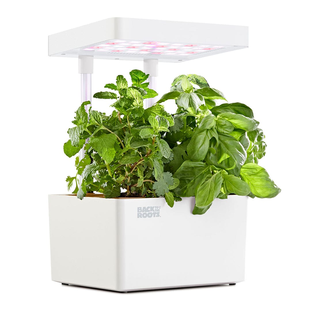 White compact indoor garden planter with lush green herbs and LED grow light panel above plants. - Online Exclusive: Back to the Roots LED Indoor Garden - Default Title - Back to the Roots