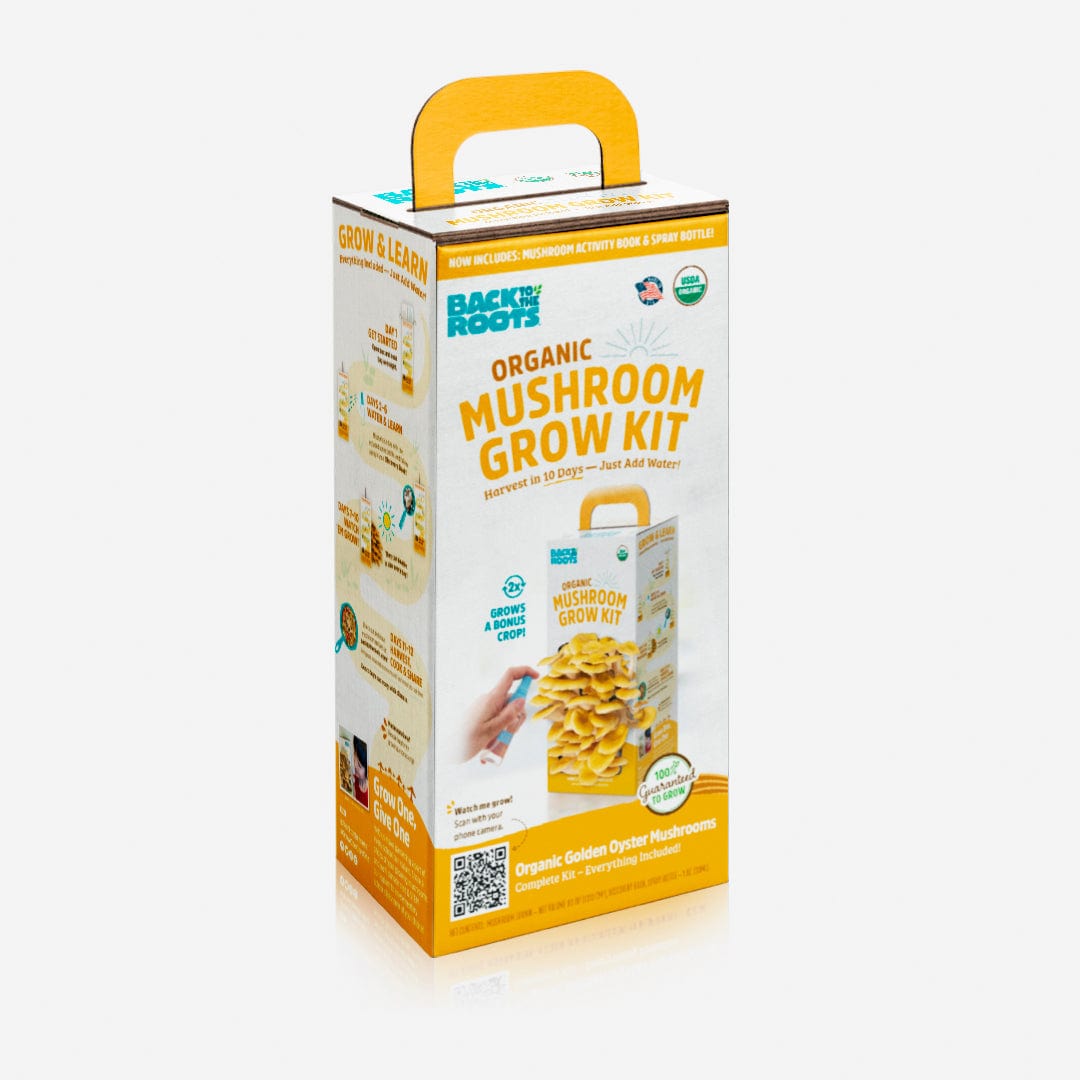 Back to the Roots Golden Oyster Mushrooms Grow Kit box features golden oyster mushrooms and product details—an easy indoor gardening kit—on a white background.