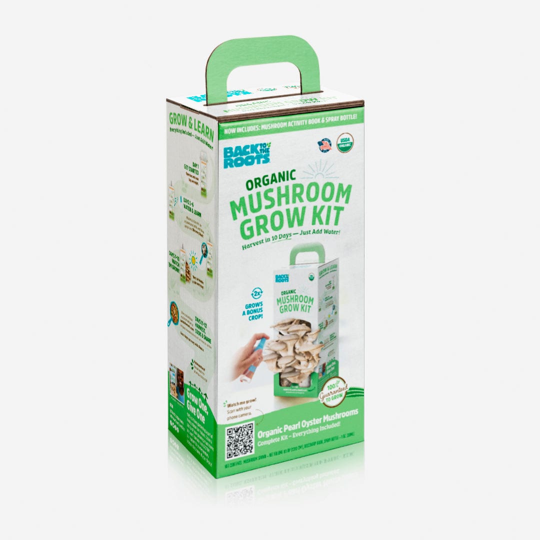 A rectangular box labeled "Organic Mushroom Grow Kit" by Back to the Roots displays pearl oyster mushrooms sprouting from the side and features home-growing instructions on the packaging.