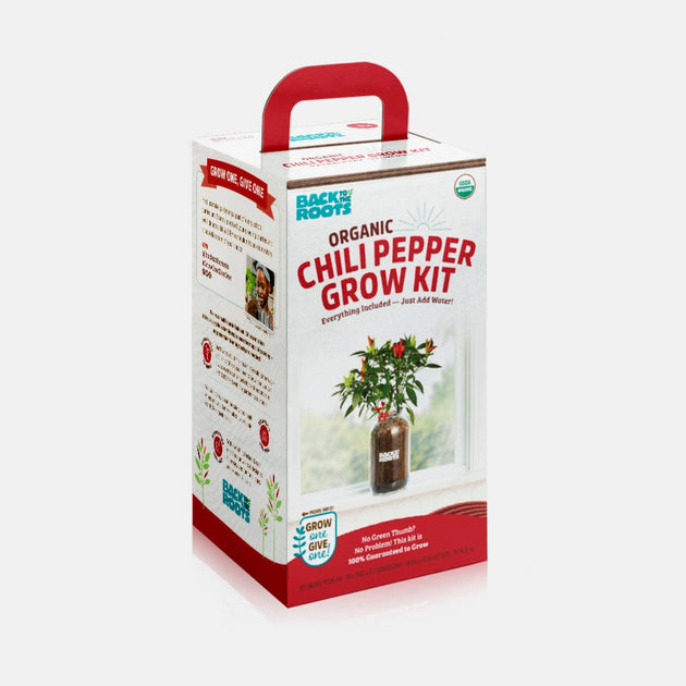 Organic Chili Pepper Windowsill Planter (Complete Mason Jar Grow Kit) –  Back to the Roots