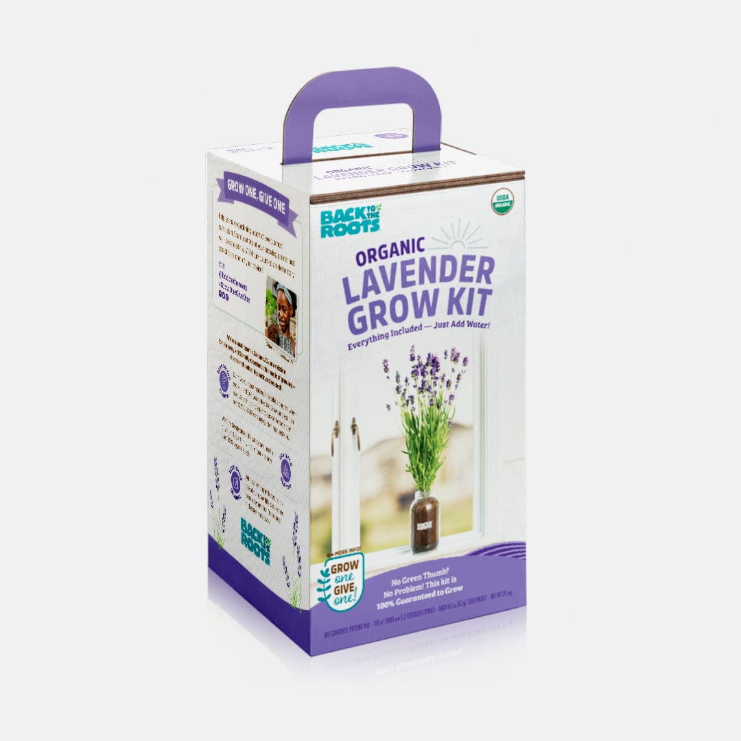 Back to the Roots Organic Lavender Windowsill Planter 💜 is a complete indoor kit with lavender images, planting instructions, and a purple handle—perfect for growing fresh lavender on your windowsill.