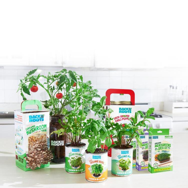 The Back to the Roots Summer Gardening Collection: 12 Kit Bundle lets you grow herbs, veggies, mushrooms, and microgreens for a lush windowsill garden on your kitchen counter.