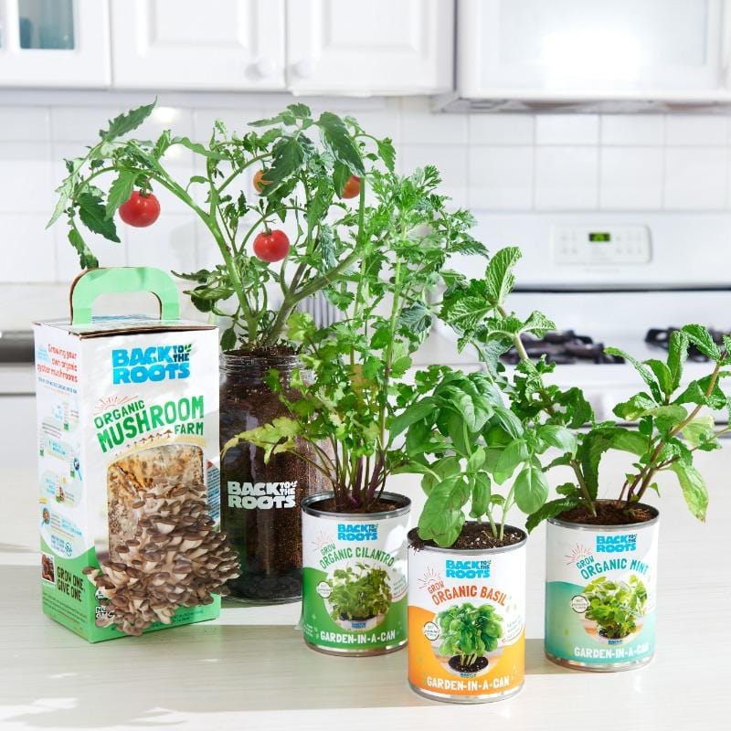 Indoor garden set with tomato, basil, parsley plants, and mushroom growing kit in containers. - The Indoor Gardening Essentials - Herb, Veggies and Mushrooms 6-Plant Bundle (Save $20) - Default Title - Back to the Roots