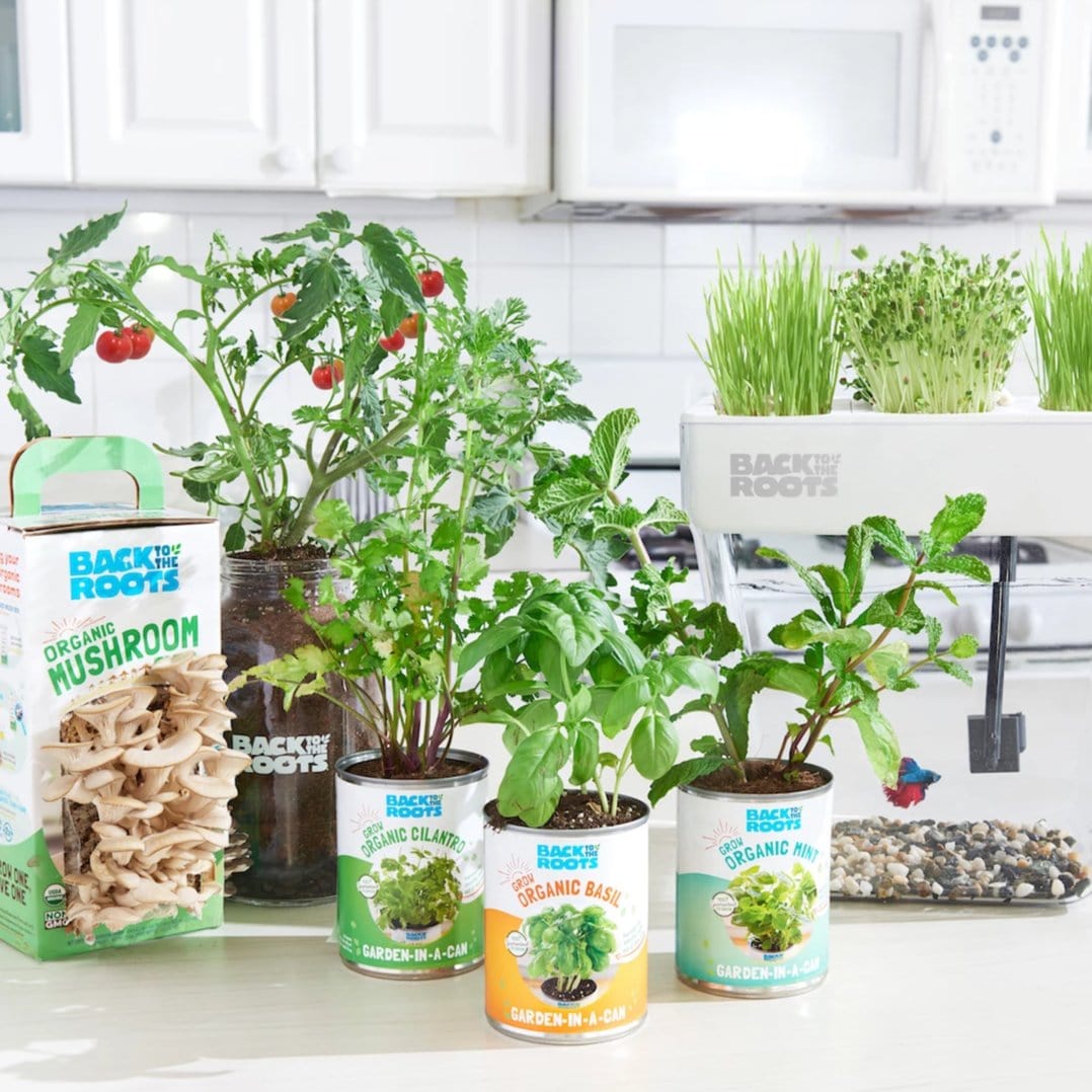 aquaponics indoor plants The Urban Homesteader Gift Set – Full Indoor Garden + Aquaponics Kit
