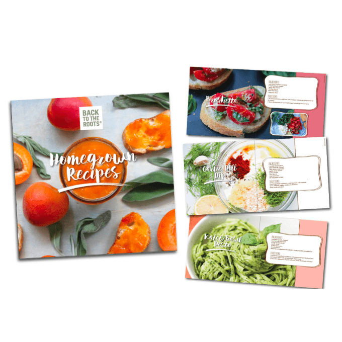 Colorful Homegrown Recipe Book with vibrant peaches on cover and three matching recipe cards with fresh produce photos and. - Homegrown Recipe Book & Decorative Kitchen Art - Default Title - Back to the Roots