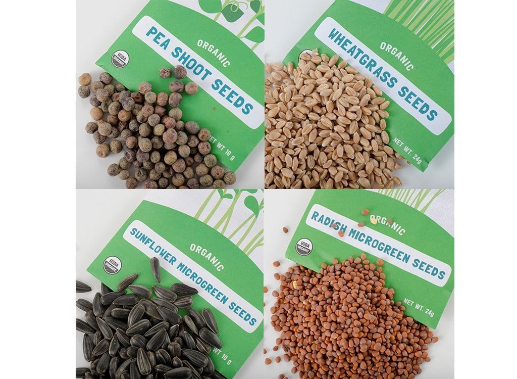 green plants seeds Back to the Roots Microgreen Seed Bundle, Sunflower, Wheatgrass & Sprouting Seeds, Certified Organic, 6 Count