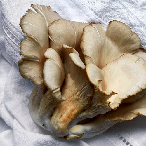 Pan Fried Mushrooms with Rosemary