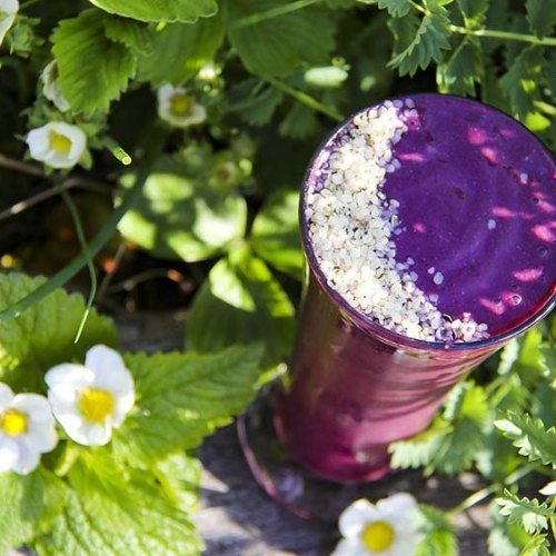 Blueberry Hempster Superfood Smoothie with Homemade Cashew Milk