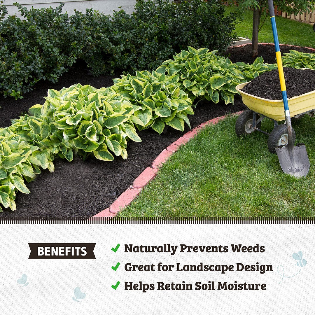 Dark natural wood mulch neatly spread around leafy green plants beside a lawn with a yellow wheelbarrow nearby. - Organic Premium Mulch — Natural Wood (1 cubic ft) 2 Pack — Ready to Use - Default Title - Back to the Roots