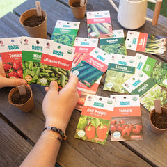 Organic Garden Essentials, 15 Pack (10,000+ seeds!), Seed Bundle