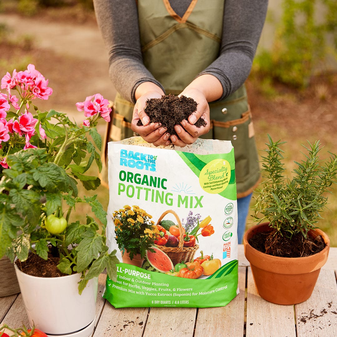 soil for potted plants Organic All-Purpose, Peat-Free Premium Potting Mix (6 QT)