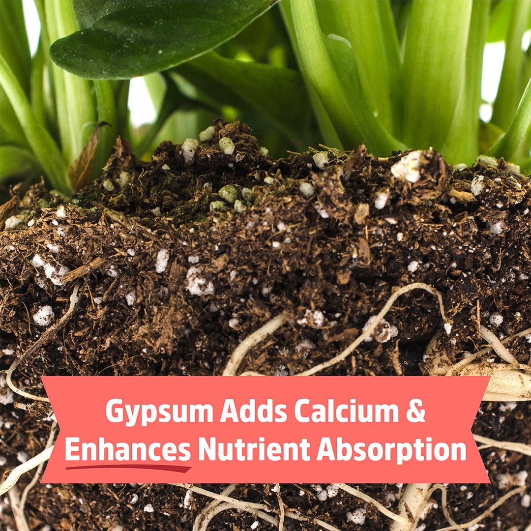 bone meal indoor plants Back to the Roots Organic Bone Meal with Gypsum, 3 lb