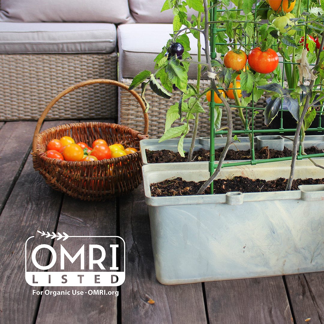 White rectangular planter with tomato plants growing in dark organic coconut coir mulch soil. - Organic Coconut Coir Mulch 10lb Block - Default Title - Back to the Roots