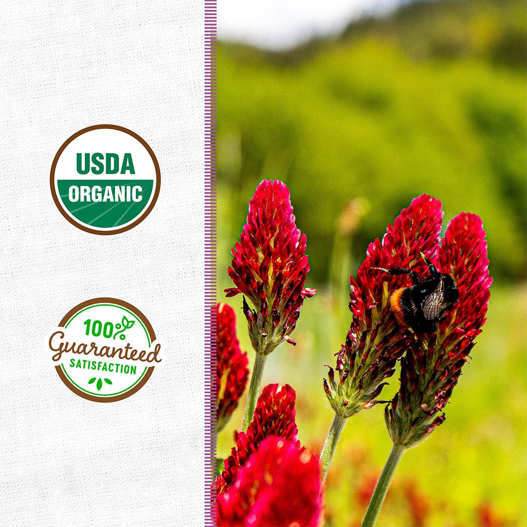 planting red clover seeds Back to the Roots Crimson Clover Pink Flower Seeds