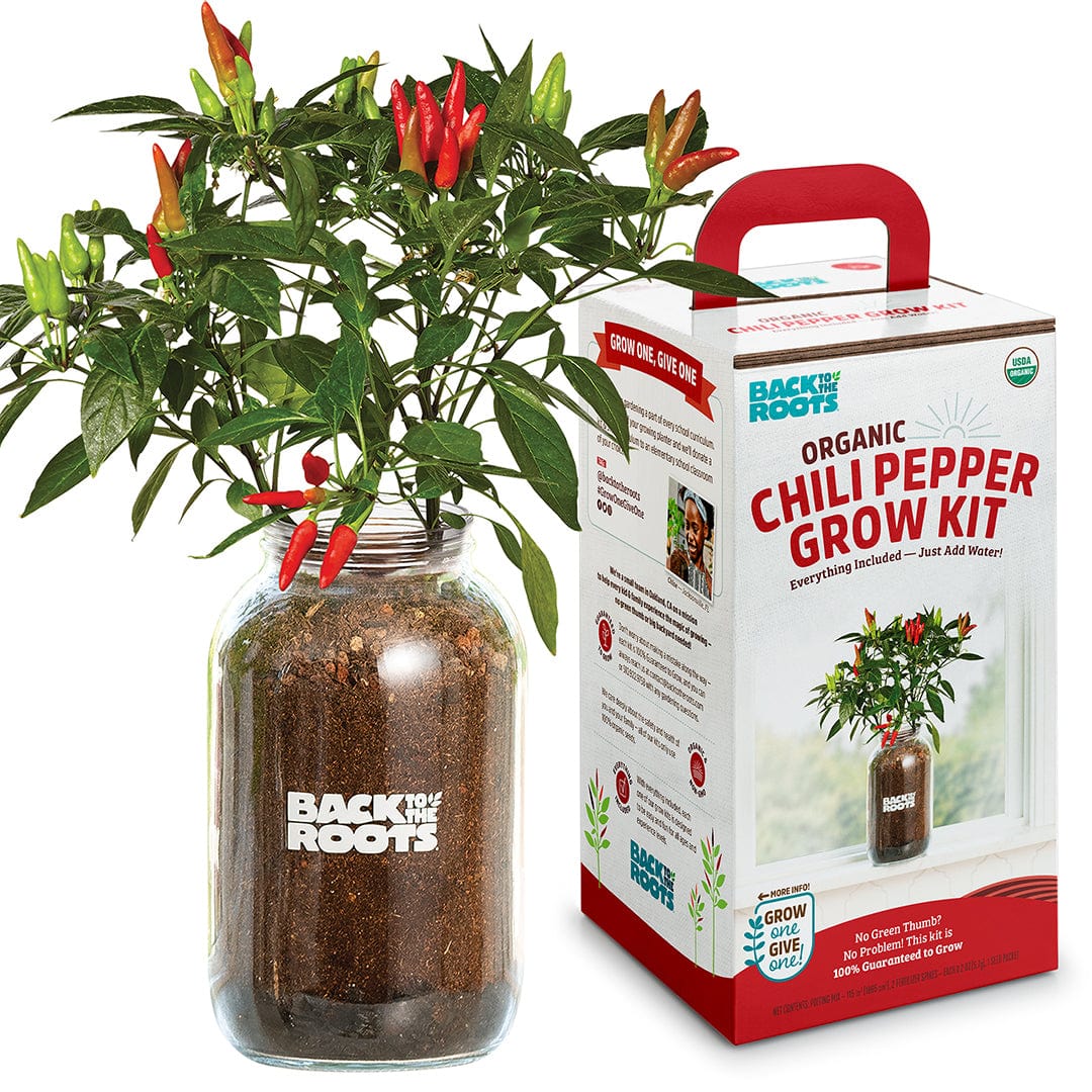 house plant growing kit Back to the Roots Grow Kit Self-Watering Planter Chili Peppers 25200