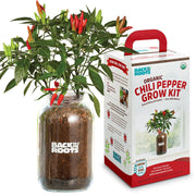 Organic Chili Pepper Windowsill Planter (Complete Mason Jar Grow Kit) 🌶️