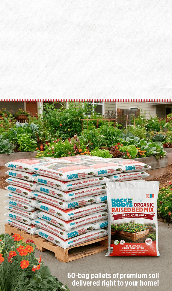Back to the Roots | Official Site® | Organic Soil & Seeds