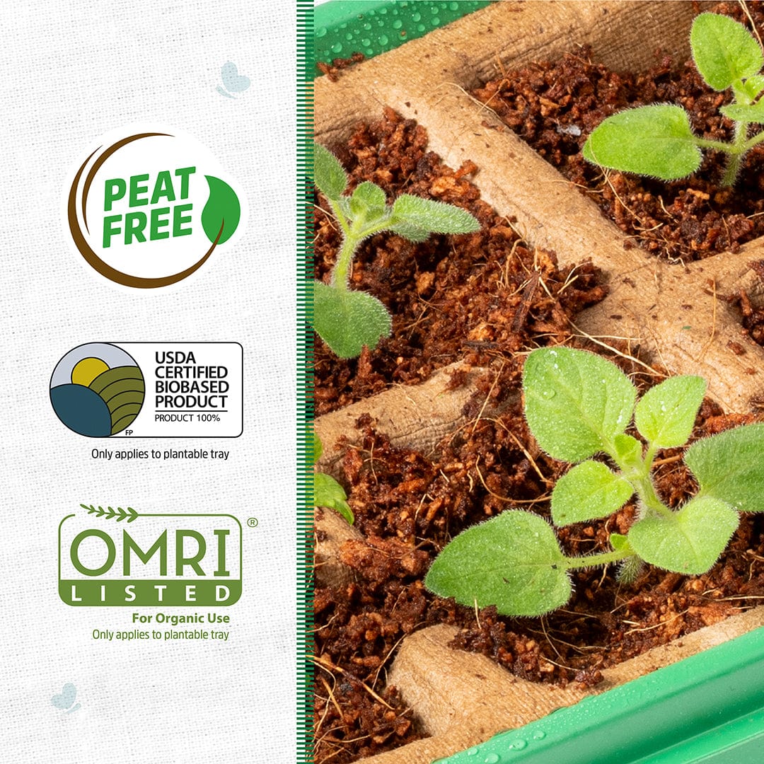 10-cell biodegradable greenhouse germination tray with soil and small green seedlings growing. - Greenhouse Germination Kit (Organic & Plantable, 10-Cell Tray) - Default Title - Back to the Roots