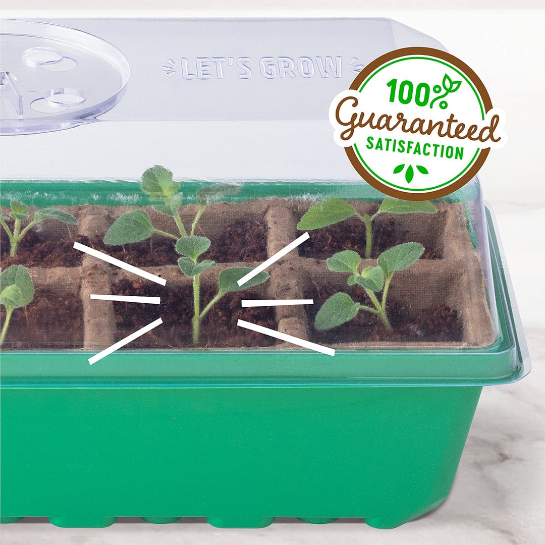 Greenhouse germination kit with green 10-cell tray and clear plastic dome, showing young seedlings growing in soil pods. - Greenhouse Germination Kit (Organic & Plantable, 10-Cell Tray) - Default Title - Back to the Roots