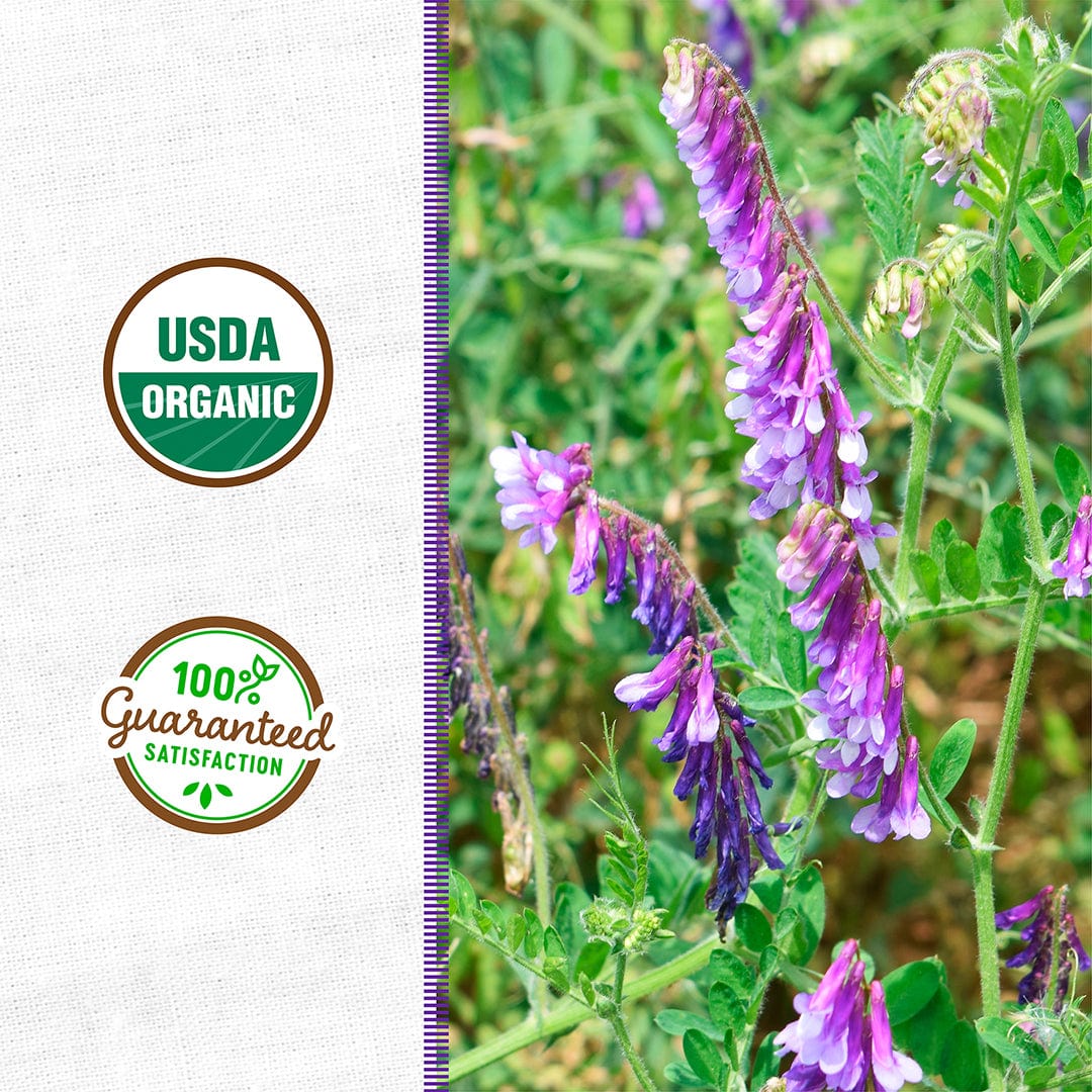 Organic Hairy Vetch Cover Crop Seeds – Back to the Roots