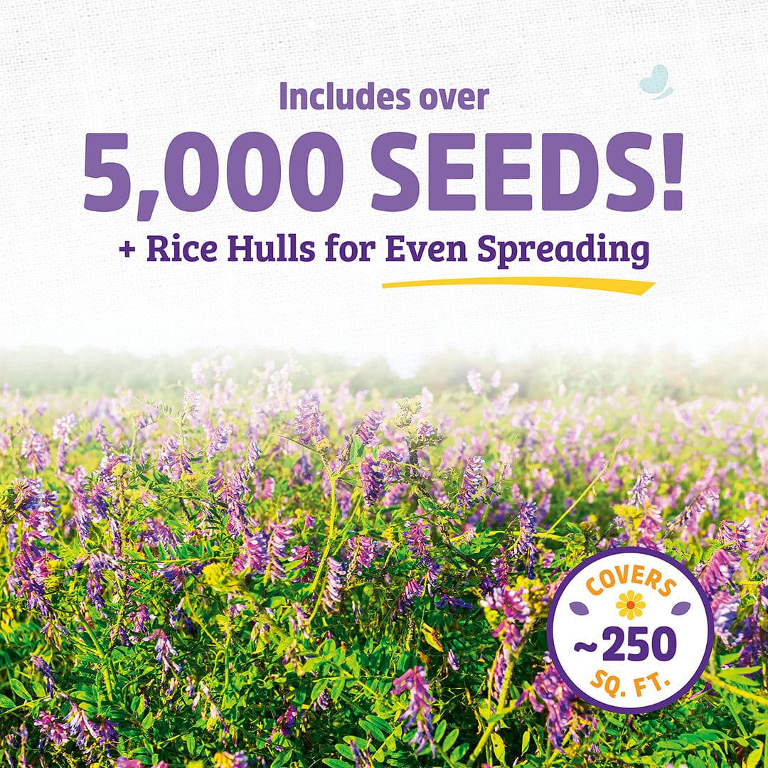 Organic Hairy Vetch Cover Crop Seeds – Back to the Roots