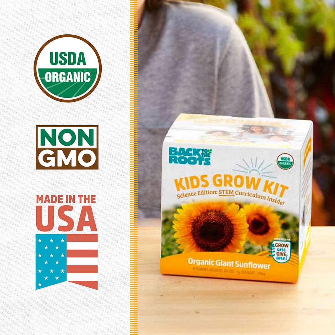 Building Roots Science Kit Kids Gardening Kits: Terrarium and Science Grow Kits Bundle – Back to ...