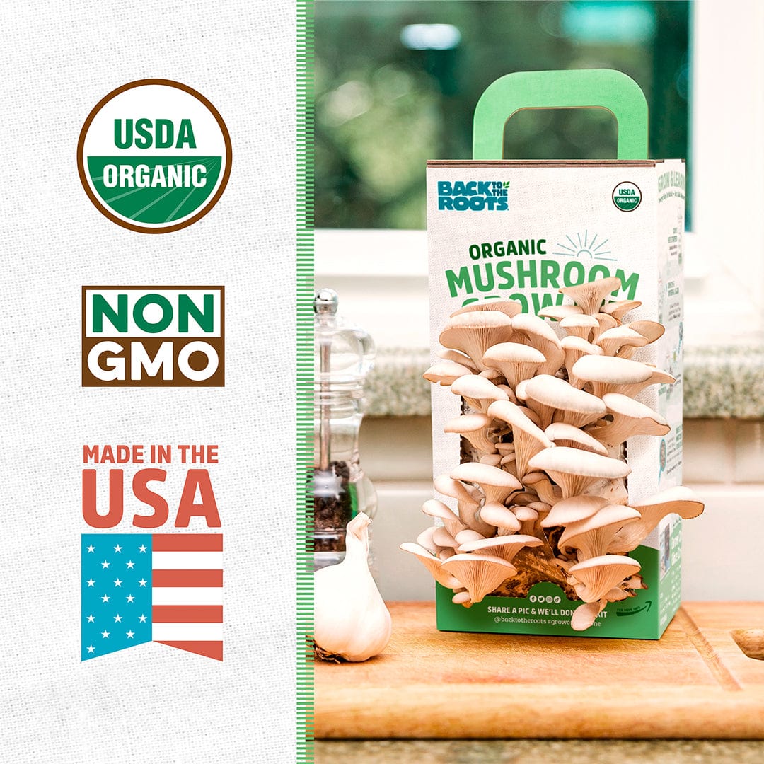 Back To The Roots Mushroom Grow Kit Instructions Original Mushroom Growing Kit by Back to the Roots – Grow Mushrooms at Home