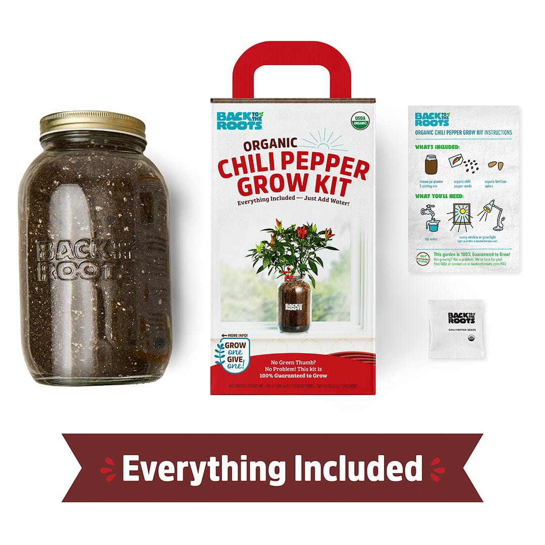 Organic Chili Pepper Windowsill Planter (Complete Mason Jar Grow Kit) 🌶️