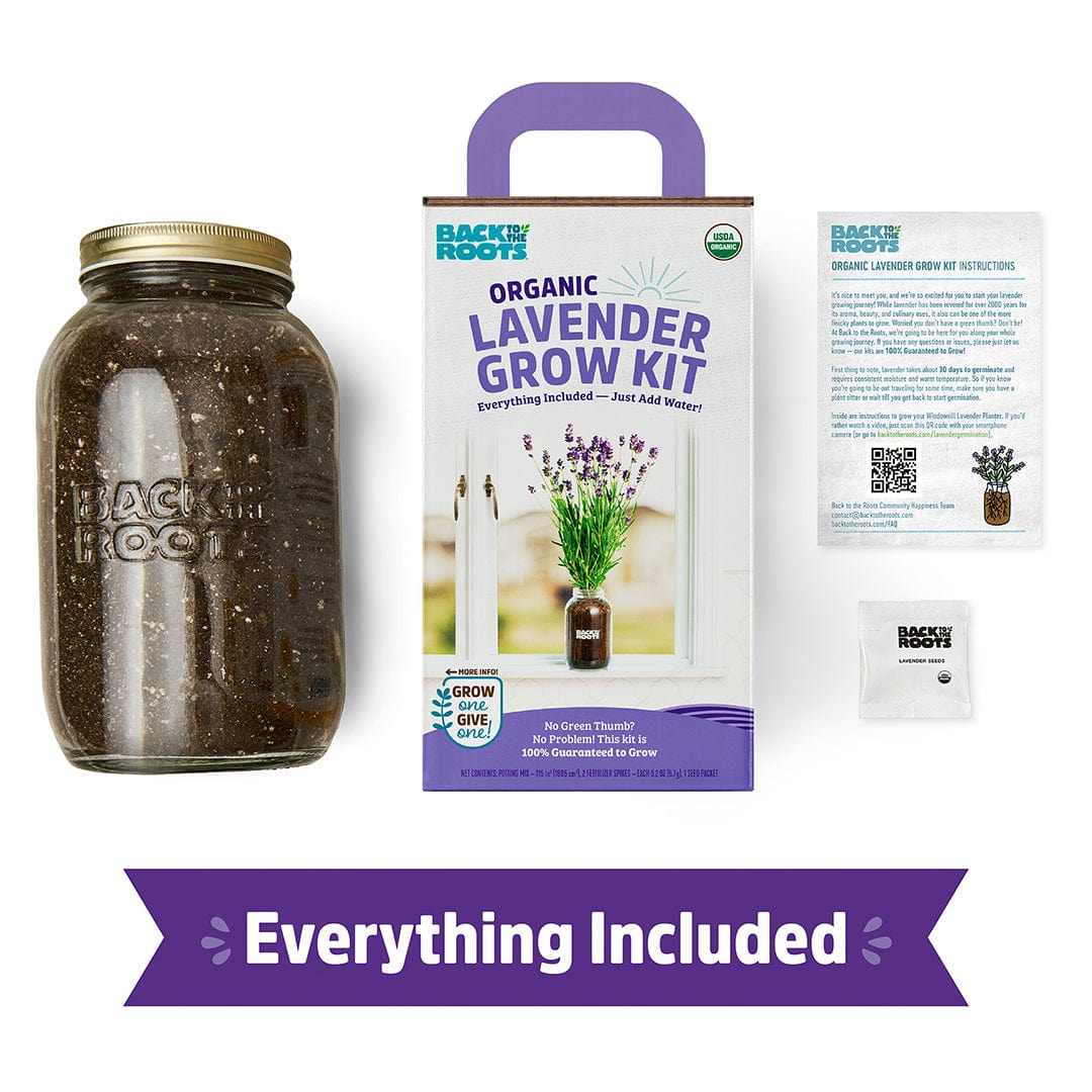 lavender plant kit Back to the Roots - Organic Lavender Windowsill Planter Growing Kit - Everything Included - Grow In-Home Year Round