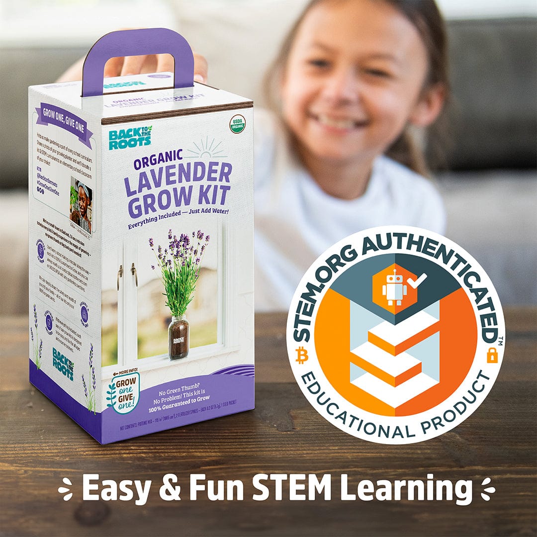 Organic Lavender Windowsill Planter 💜 – Back to the Roots