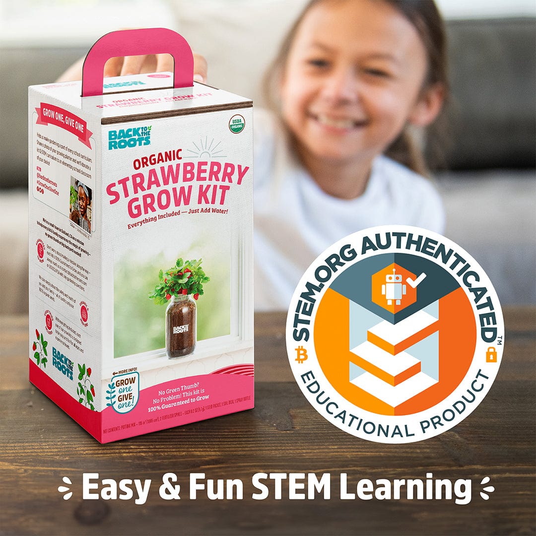 Organic Strawberry Windowsill Grow Kit 🍓 – Back to the Roots